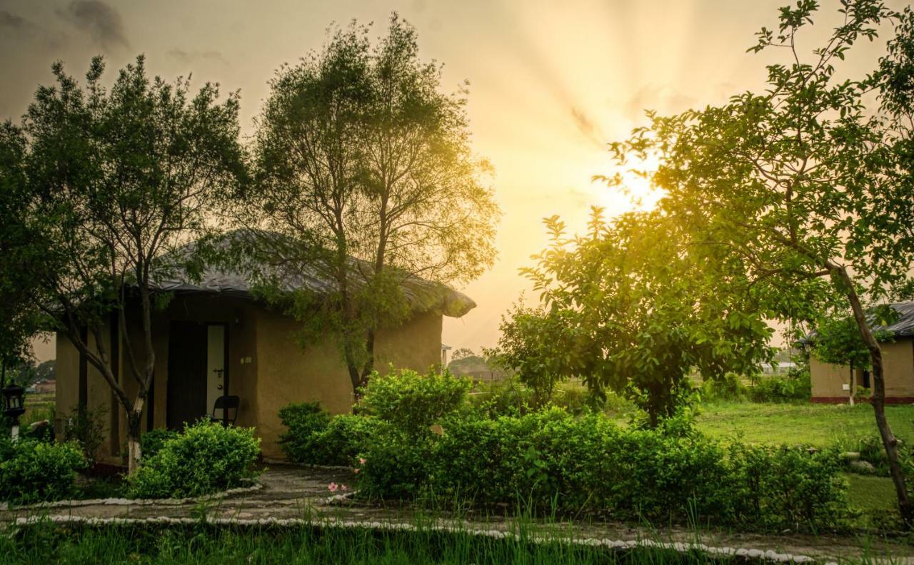 Tusk And Roar Corbett Resort Dhela Exterior photo